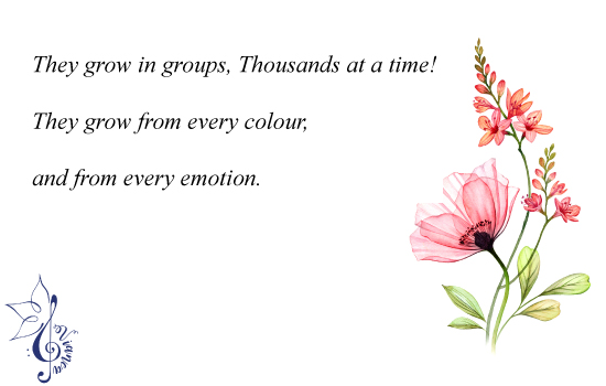 vianca-poetry-They-grow-in-groups,-Thousands-at-a-time-They-grow-from-every-colour-and-from-every-emotion